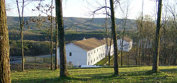 From the highest point on the property, looking south.