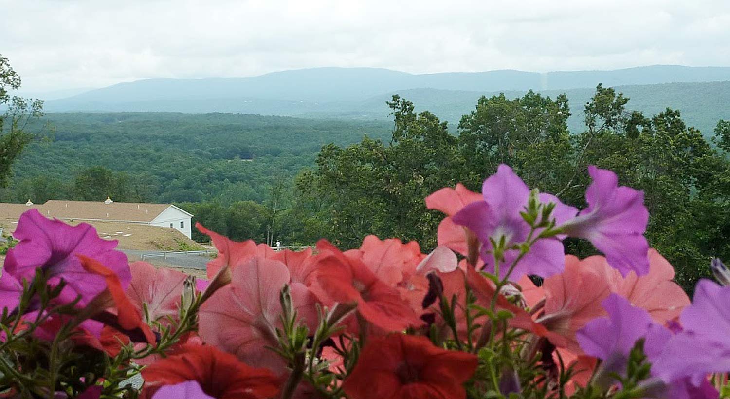 Purusha Capital, West Virginia, USA